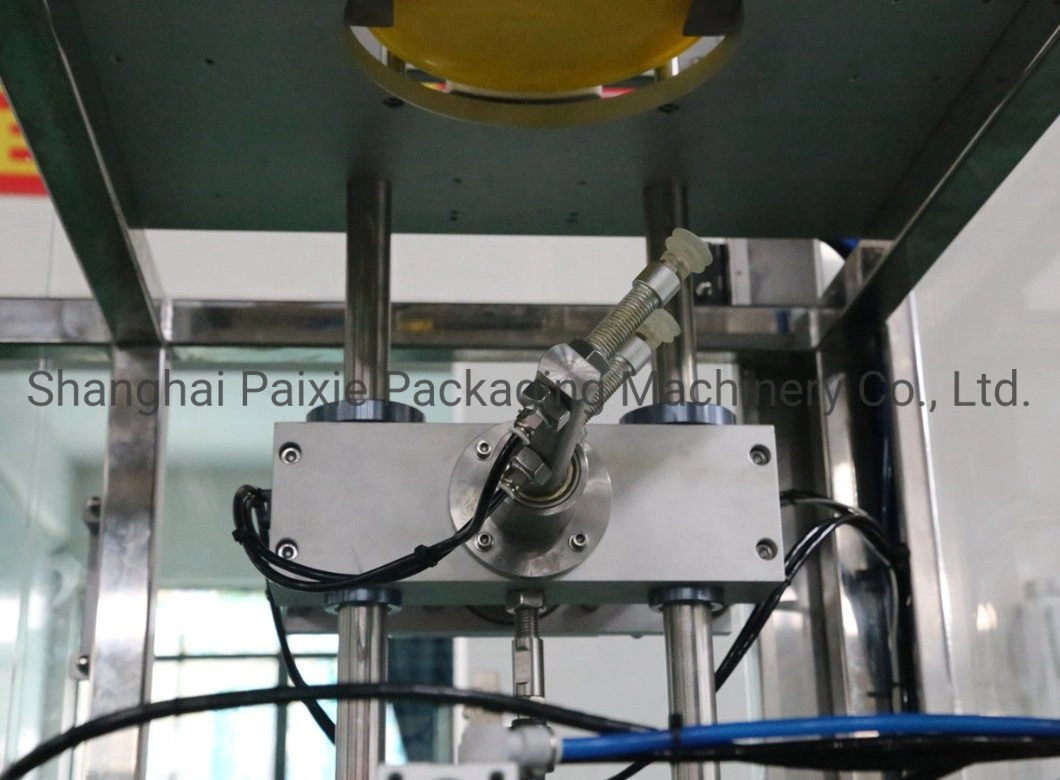 Fully Automatic Vat Paint, Coating, Mayonnaise Capping Production Line with Automatic Capping Production Machine